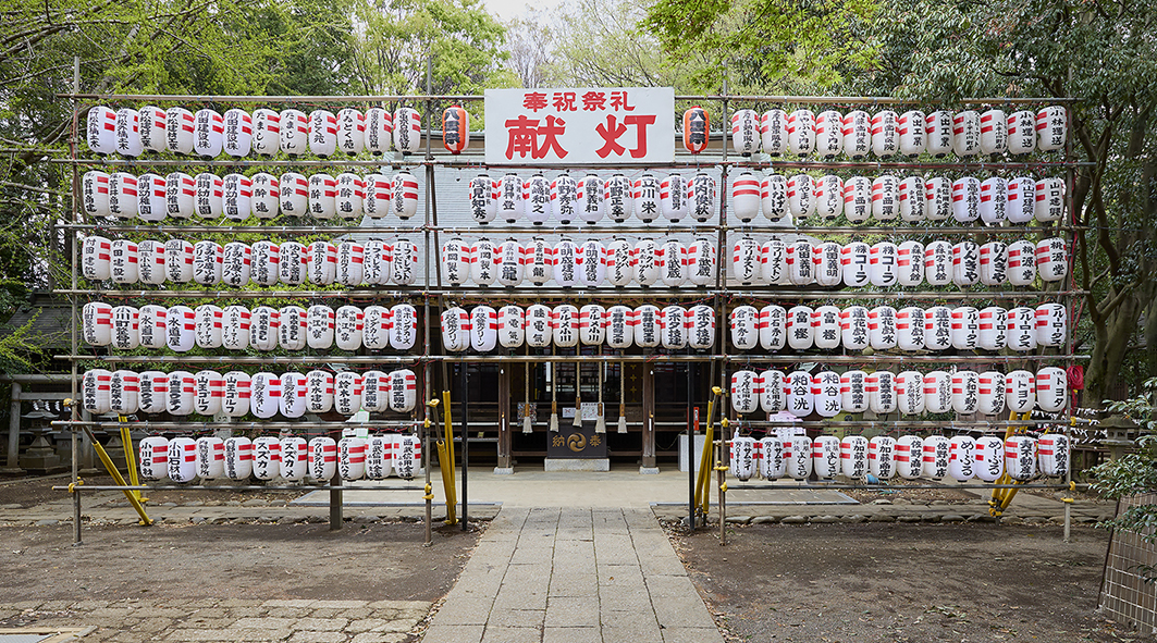 奉納提灯価格
